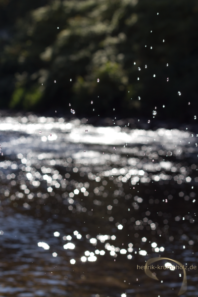 Wei&szlig;eritz (Dresden)